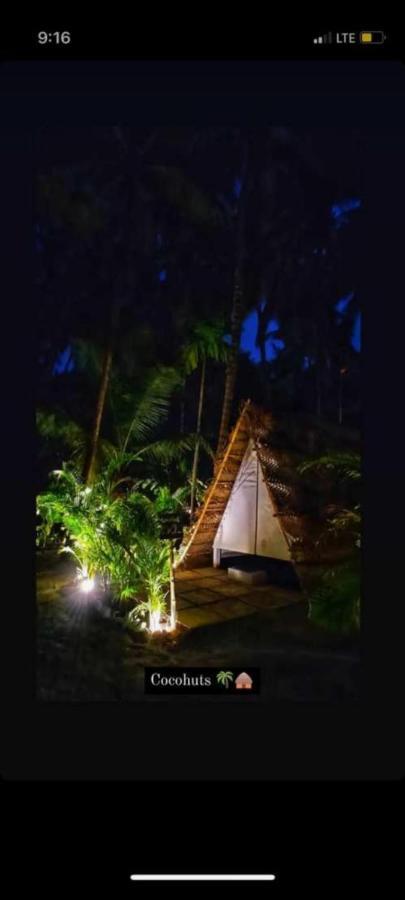 ホテル Moonstone Hammock Alibaug アリバグ エクステリア 写真